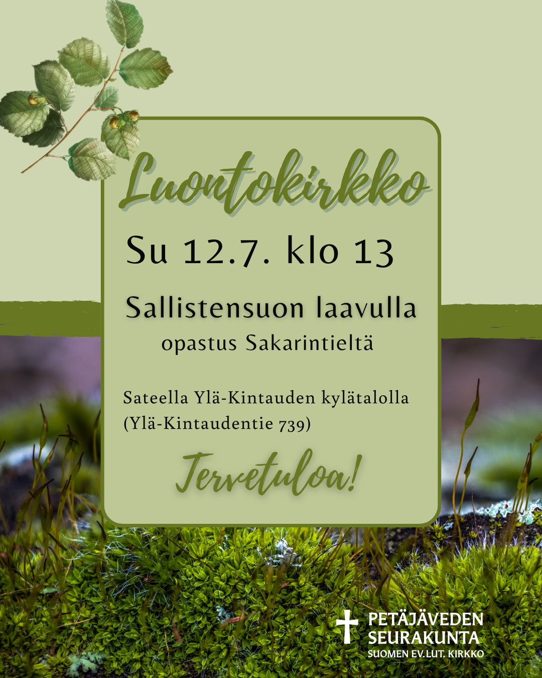 Sammalta ja koivun lehtiä
