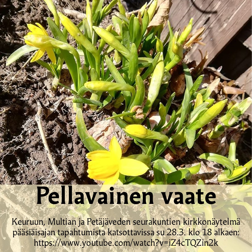 Pellavainen vaate - kirkkonäytelmä katsottavissa verkossa Pellavainen vaate -kirkkonäytelmä